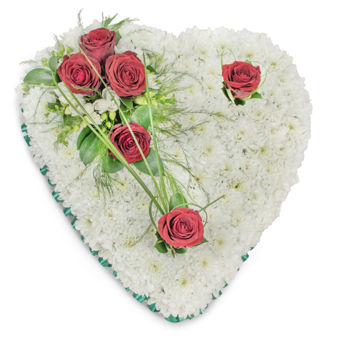 A classic heart-shaped sympathy wreath, composed entirely of a dense carpet of spotless white chrysanthemums, creates a smooth, pillow-like field that reads as serenity when viewed against the plain white background. The eye is drawn to a thoughtfully arranged spray of deep red roses beginning on the upper left: three fully opened blooms sit in a close cluster amidst a mix of glossy green leaves and feathery fern fronds, with narrow arcing blades of bear grass that lend movement and a hint of informal flourish. Two single red roses interrupt the whiteness elsewhere-one near the upper right curve and another toward the lower point-each given a few reserved green details that allow the crimson to speak quietly. The entire heart is edged with a slim band of emerald satin ribbon whose polished surface reflects the soft studio light and crisply defines the silhouette. Tactile contrasts are notable: the chrysanthemums' fine, cushiony texture versus the roses' velvety, layered petals and the foliage's clean, smooth greens; scent is understated, with the roses' gentle fragrance set against the fresh, almost neutral aroma of the white base. Presented with balanced lighting that reveals subtle depth and shadow, the arrangement embodies respectful restraint and enduring affection. As a sympathetic tribute frequently ordered for funerals or memorials by families in Colney Hatch and neighbouring Arnos Grove, this piece demonstrates the careful hand of an experienced florist attentive to proportion, movement, and quiet, heartfelt expression.