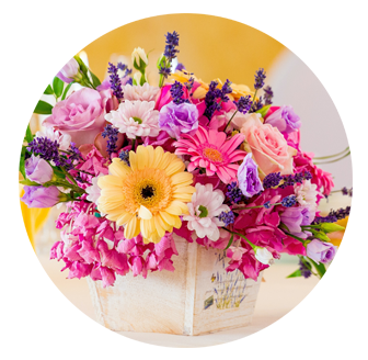 Birthday Flowers Colney Hatch